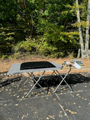 (New) Targa Top Restoration / Reconditioning Services