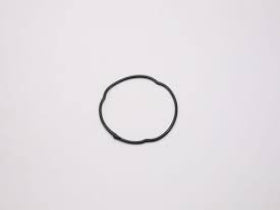 (New) Boxster/Cayman Thermostat Housing Seal - 2017-23