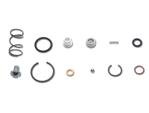 (New) 911/914-6 Mechanical Chain Tensioner Repair Kit - 1970-83