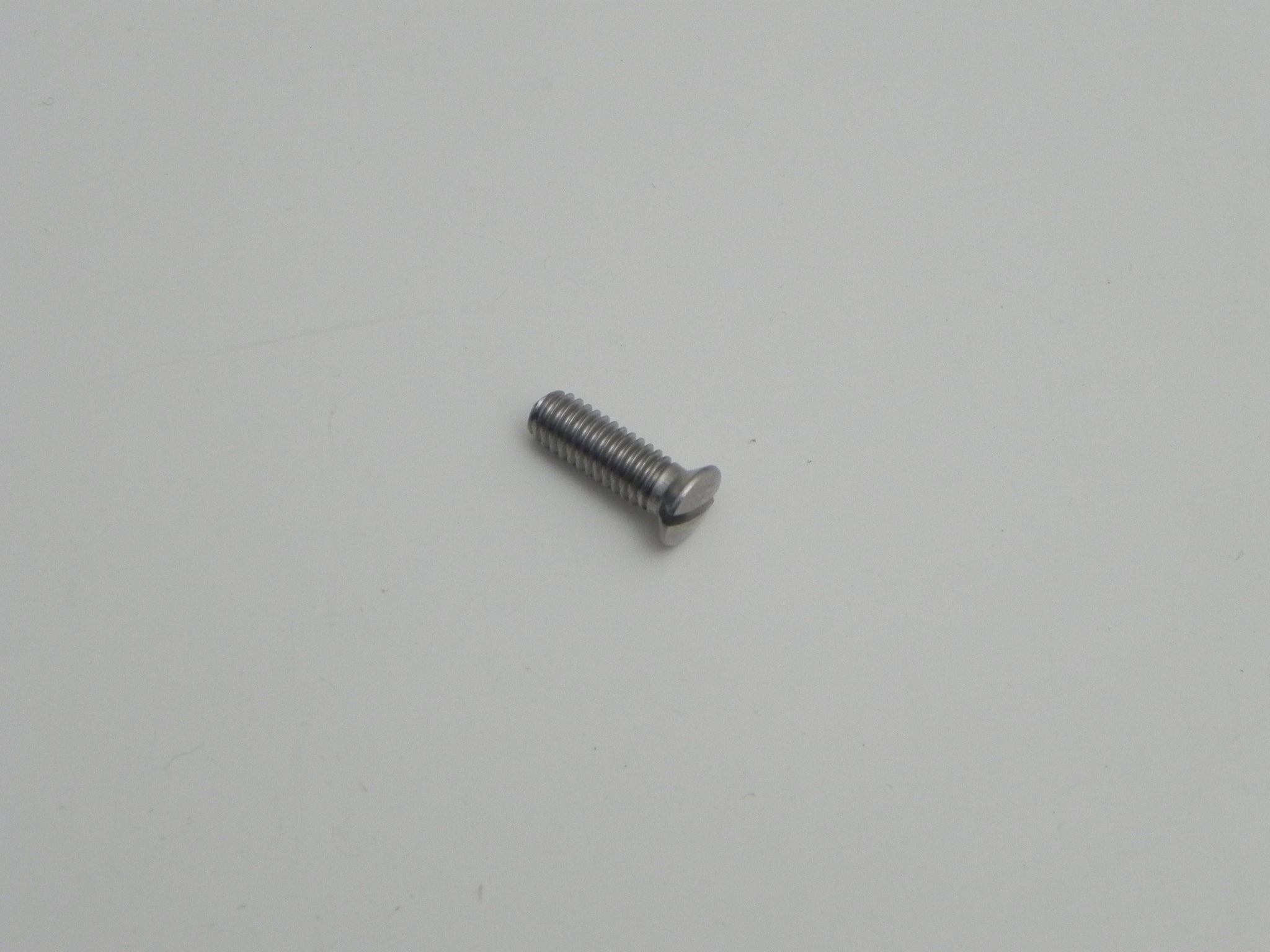 (New) M4 x 12 Oval Head Common Screw