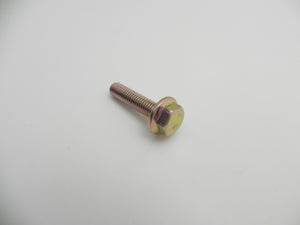 (New) M6x25 Flange Head Bolt