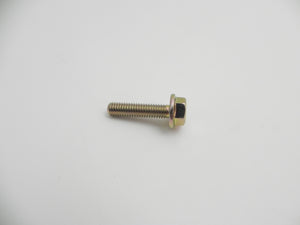 (New) M6x25 Flange Head Bolt