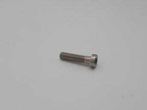 (New) M6x25 Cheesehead Screw