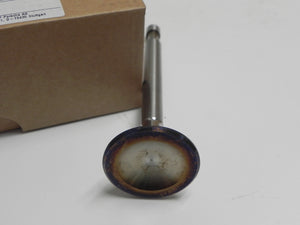 (New) 356 A/B Genuine Engine Intake Valve - 1955-63